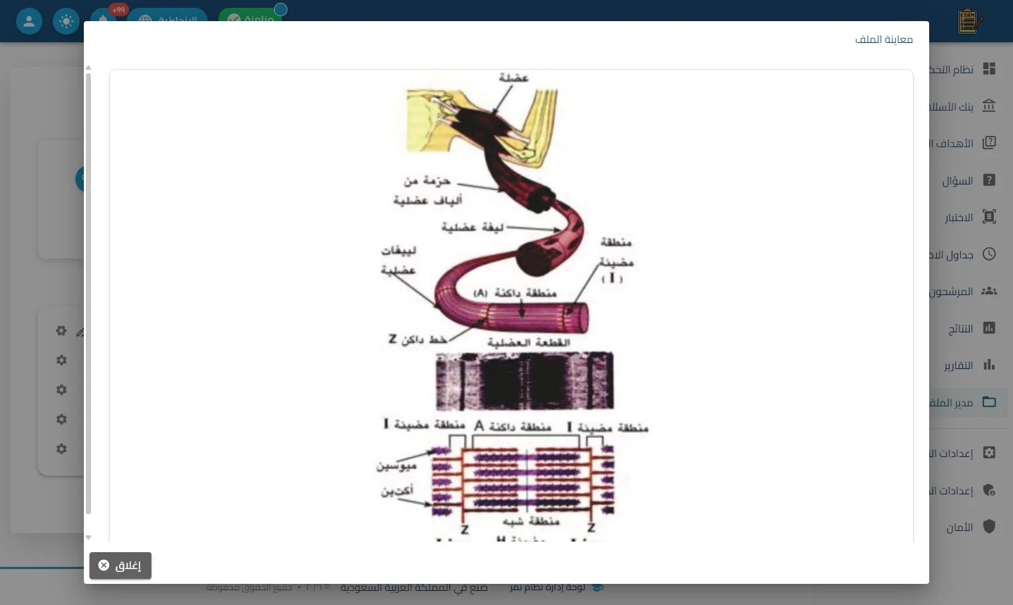 الخطوة 6